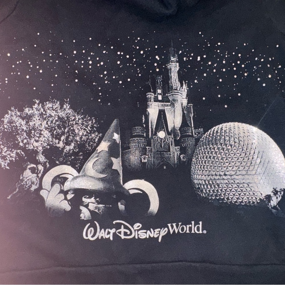 Disney Parks Gray Zip-Up Hoodie